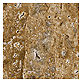 Honey Travertine